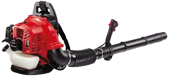 ebz3000